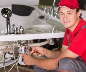 About Emergency plumbing pros Birnamwood, WI
